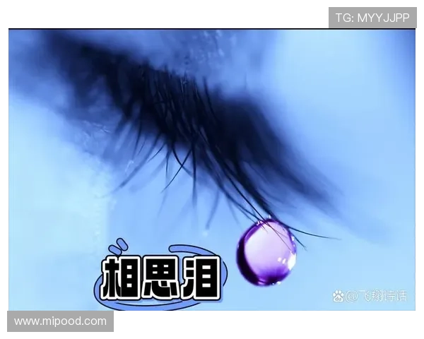 《相思》：一曲婉转，勾勒出几多相思泪？