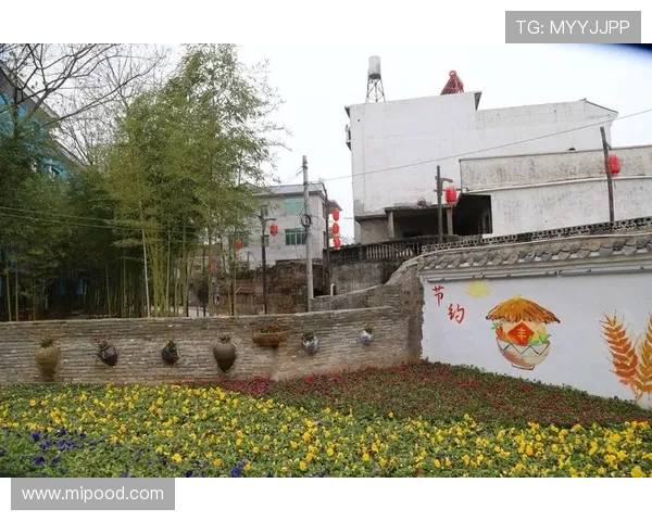 《乡约》:镜头下的中国乡村变迁与温情故事