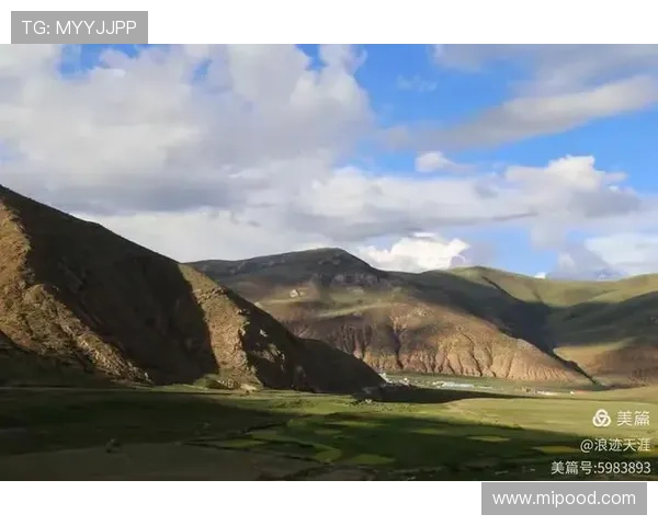 《浪迹天涯》：一次荡气回肠的江湖行，一场关于人生与自由的诗意追寻
