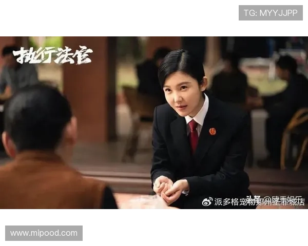 《执行法官》：当法律的利剑遇上人性的温度，一场正义与温情的史诗