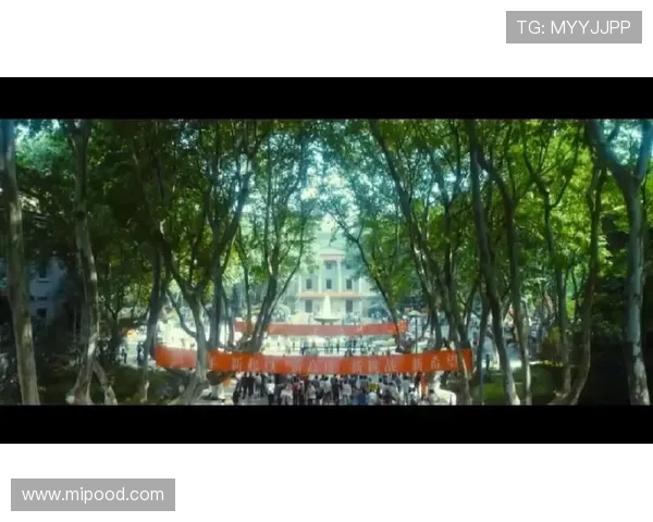 那些年，我们追过的“名校电视剧”：青春、梦想与成长的交响曲